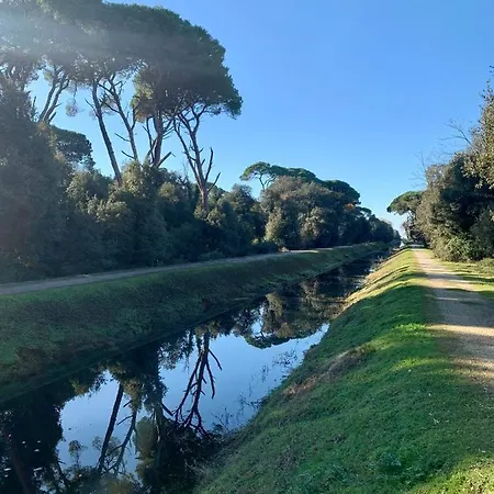 Luminosa Torre del Lago Puccini